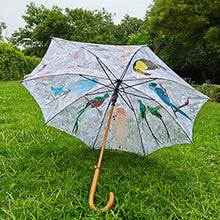 Load image into Gallery viewer, Little Birder