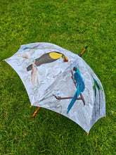 Load image into Gallery viewer, Little Birder