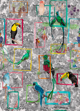 Load image into Gallery viewer, Bird Song