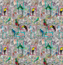 Load image into Gallery viewer, Bird Song