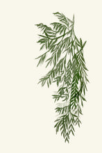 Load image into Gallery viewer, Cascading Greens