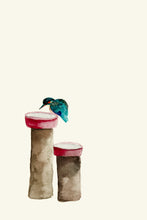 Load image into Gallery viewer, Kingfisher by the Bird Bath