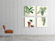 Load image into Gallery viewer, Heliconia Palm