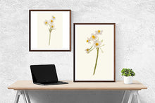 Load image into Gallery viewer, Nargis II