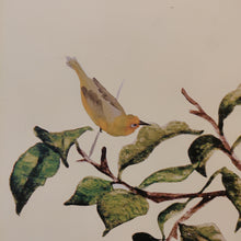 Load image into Gallery viewer, Yellow Bird Perched