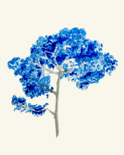 Load image into Gallery viewer, Blue Tree II