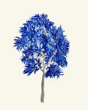 Load image into Gallery viewer, Blue Tree I