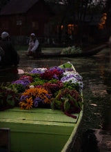 Load image into Gallery viewer, Flowers on a Boat II, Kashmir