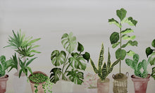 Load image into Gallery viewer, Indoor Plants