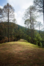 Load image into Gallery viewer, Kanatal Hills I