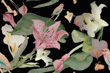 Load image into Gallery viewer, Lilies by Night