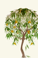 Load image into Gallery viewer, Mango Tree