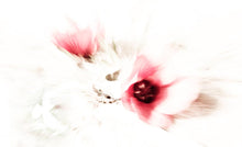 Load image into Gallery viewer, Meandering