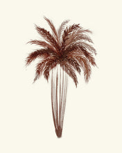 Load image into Gallery viewer, Palm, Sepia III