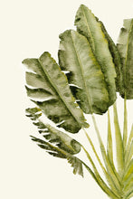 Load image into Gallery viewer, Palm Tree IV