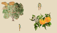 Load image into Gallery viewer, Mediterranean | A Little Orange Zest