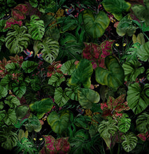 Load image into Gallery viewer, A Night in the Forest