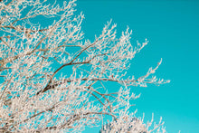 Load image into Gallery viewer, Turquoise Sky I