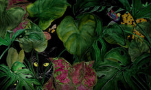 Load image into Gallery viewer, A Night in the Forest