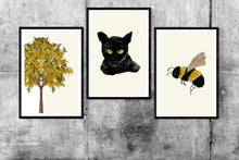 Load image into Gallery viewer, Amaltas Tree