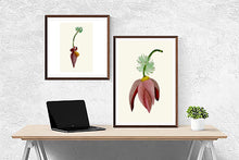 Load image into Gallery viewer, Banana Flower