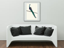 Load image into Gallery viewer, Peacock