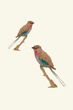 Load image into Gallery viewer, Birds