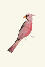 Load image into Gallery viewer, Bird Pink