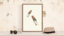 Load image into Gallery viewer, Birds