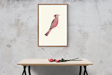Load image into Gallery viewer, Bird Pink