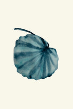 Load image into Gallery viewer, Fan Palm blue II
