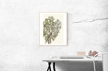 Load image into Gallery viewer, Bottlebrush Tree