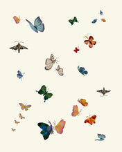 Load image into Gallery viewer, Butterflies