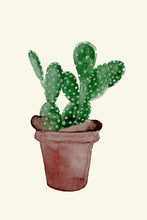 Load image into Gallery viewer, Cactus