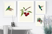 Load image into Gallery viewer, Cherries