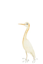 Load image into Gallery viewer, Egret