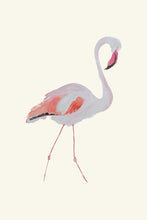 Load image into Gallery viewer, Flamingo I