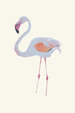 Load image into Gallery viewer, Flamingo II