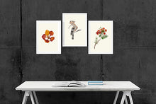 Load image into Gallery viewer, Gulmohar Flower