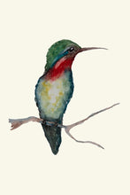 Load image into Gallery viewer, Hummingbird on a branch