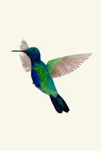 Load image into Gallery viewer, Hummingbird in Flight I