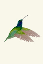 Load image into Gallery viewer, Hummingbird in Flight II