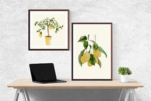 Load image into Gallery viewer, Lemons