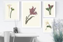 Load image into Gallery viewer, Calla Lily white II