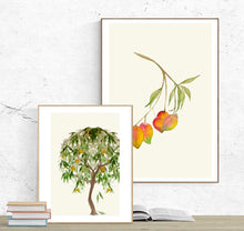 Load image into Gallery viewer, Mango Tree