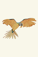 Load image into Gallery viewer, Mediterranean Parrot in Flight