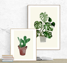 Load image into Gallery viewer, Monstera Plant in a Pot