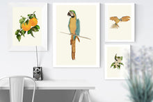 Load image into Gallery viewer, Citrus Flower