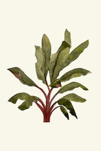 Load image into Gallery viewer, Palm Tree