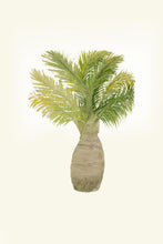 Load image into Gallery viewer, Palm Tree III